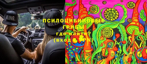 хмурый Гусь-Хрустальный