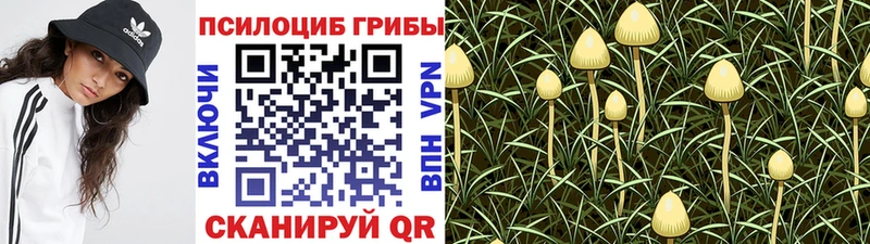 Псилоцибиновые грибы MAGIC MUSHROOMS  Ладушкин 